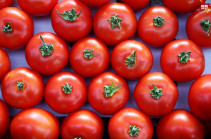 Турция поставит в РФ 50-60 тыс. тонн томатов в период межсезонья