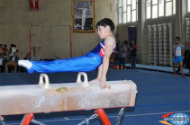 Երևանում մարմնամարզության դպրոցի կառուցումը հետաձգվել է