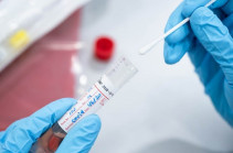 В Арцахе выявлено 52 случая заражения коронавирусом