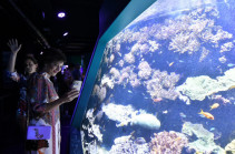 Աննա Հակոբյանն այցելել է Մոնակոյի Օվկիանոսագիտական թանգարան-ինստիտուտ