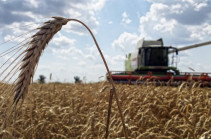 Министр экономики Армении считает невозможным прекращение поставок Россией зерна
