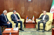 Гнел Саносян обсудил с министром энергетики Ирана вопросы двустороннего  сотрудничества