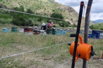 Mobile “Electric fences” in Yeghegis community have become an “obstacle” for bears