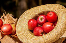 Խնձորի սերմերում թունավոր ամիգդալին գլիկոզիդ է պարունակվում. Վտանգավո՞ր է արդյոք առողջության համար