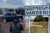 «Власти обманывают жителей Вардениса»: Тагуи Товмасян опубликовала ответ, полученный из МВД