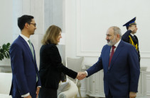 Пашинян встретился с главой миссии МВФ в Армении