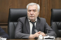 Андраник Кочарян: В Армении не должно быть вооруженных группировок и скрытого оружия