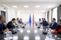 Арарат Мирзоян и генеральный секретарь СЕ обсудили вопросы партнерства Армения-СЕ, региональной стабильности