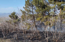Հրդեհ  Արթիկի անտառտնտեսության հարակից ձորում․ ջերմահարվել են ծառեր, կրակի մարմանը ներգրավվել են անտառտնտեսության աշխատակիցները