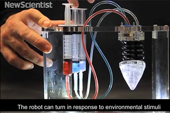 Գիտնականները բույս-ռոբոտ են ստեղծել (Տեսանյութ)