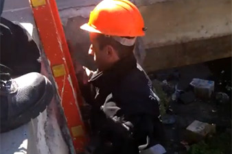 Երևանում շան թաթերը կապել ու նետել են գետը (Տեսանյութ)