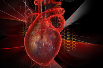 Ученые напечатают на 3D-принтере живое человеческое сердце