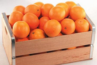 Россия получит от Сирии 20 тонн апельсинов в знак благодарности