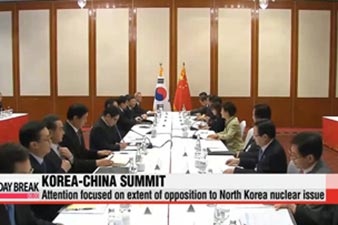 North Korea tops agenda as China's Xi visits Seoul