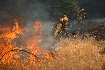 В Калифорнии сотни человек эвакуированы из-за лесных пожаров