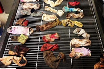 Ветеринары достали из желудка собаки 43 носка