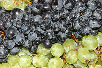 Ереванский коньячный завод закупил 33 тыс. тонн винограда 