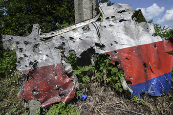 Депутат бундестага подтвердил статью Spiegel об MH17 