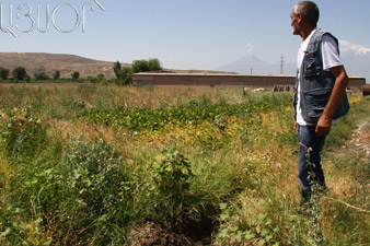 Минсельхоз Армении призывает срочно завершить работы по сбору урожая 