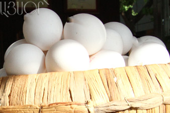 Ոչնչացվել է իրանական արտադրության 500 հատ ձու