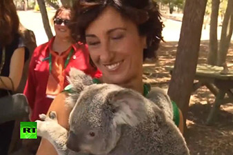Spouses share special moments with Queensland koalas