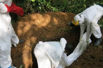 Ebola outbreak: Sierra Leone workers dump bodies in Kenema