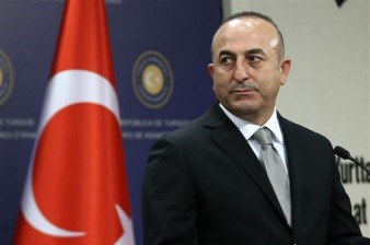 Turkish FM: 600 Turkish nationals joined jihadists, more than 100 killed