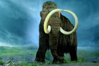 Woolly Mammoth DNA Successfully Spliced Into Elephant Cells