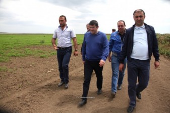 В Нагорном Карабахе в скором времени начнется производство черной икры