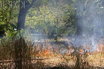 В парке близ Цицернакаберда сгорело около 15 га территории