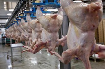Россельхознадзор задержал в Калининградской области 162 т куриного мяса из Турции
