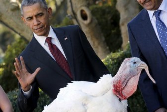 Обама в День благодарения по традиции помилует двух индеек