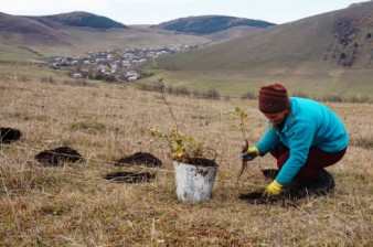 Nearly 230,000 Trees Make 2015 a Green One for ATP and Communities throughout Armenia and Artsakh