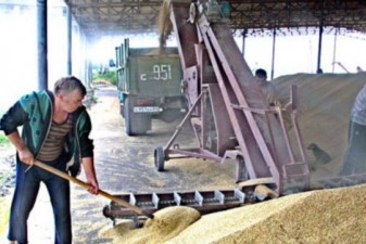 Հայ գյուղացիները նախընտրում են հացահատիկը պահուստավորել, քան վաճառել