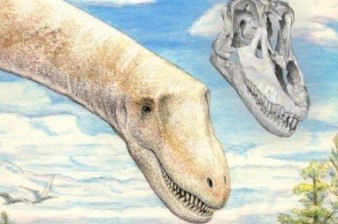 Учёные обнаружили в Антарктиде более тонны окаменелостей и останков динозавров