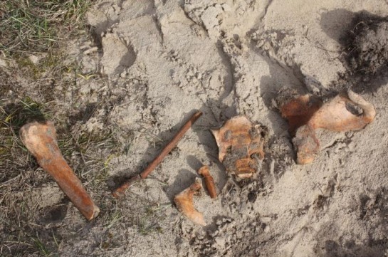 Դաղստանում հայտնաբերվել է միջնադարյան գերեզման