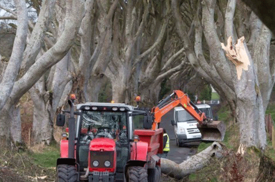 Իռլանդիայում փոթորիկը տապալել է Գահերի խաղի 200-ամյա ծառը
