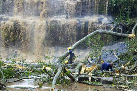 Около 20 человек погибли в Гане при падении дерева у водопада