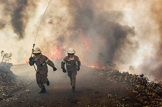 СМИ: Число пострадавших от лесного пожара в Португалии увеличилось до 204 человек