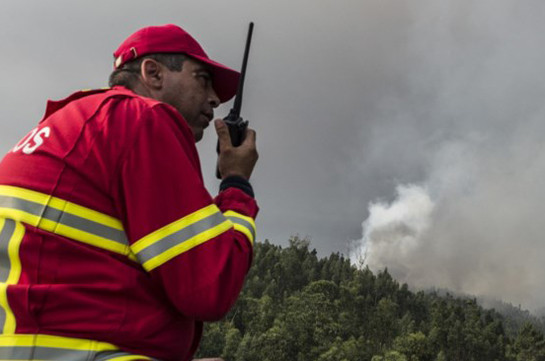 СМИ: Последний очаг лесного пожарав Португалии локализован