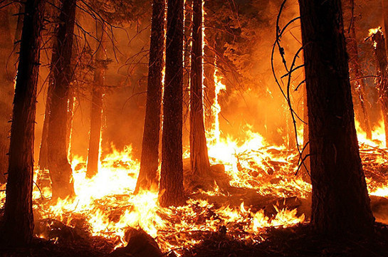 В штате Юта в США более тысячи человек эвакуировали из-за лесного пожара