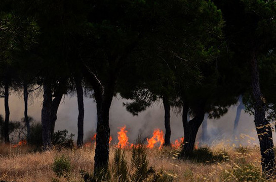 В Испании эвакуированы тысячи человек из-за пожара