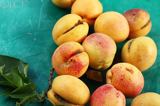 Макарян: Из Армении экспортировано 26 тысяч тонн абрикосов, это рекордный показатель
