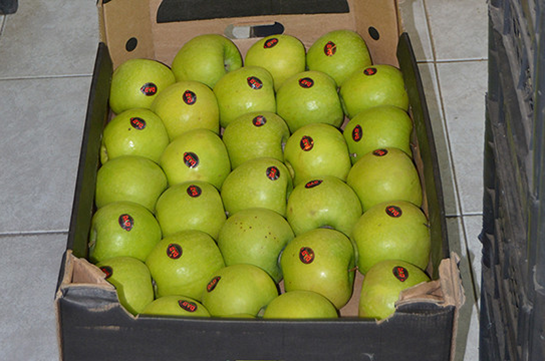 Ադրբեջանական խնձորի գործ. ՊԵԿ մաքսային տեսուչներին մեղադրանք է առաջադրվել