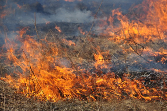 Արտակարգ իրավիճակ Վայոց Ձորում. Արտավան գյուղում անտառային տարածքներ են այրվում