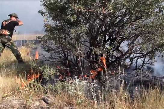 Կրակի գծից 8 կմ հեռու շտաբ են սարքել ու ռենջերների շորերով ցույց են տալիս, թե գործ են անում. Կամավորը` Խոսրովի անտառում հրդեհի մասին (Տեսանյութ)