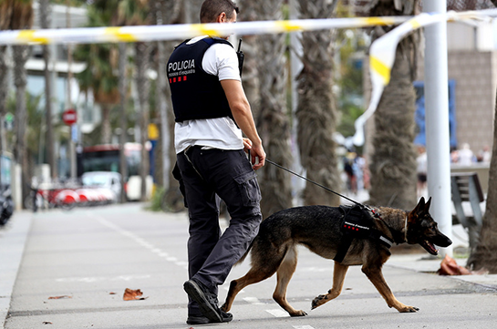 СМИ: террористы продали драгоценности, чтобы организовать теракт в Барселоне