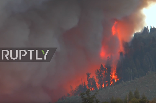 Пожар в Боржомском ущелье разросся до 6 га (Видео)