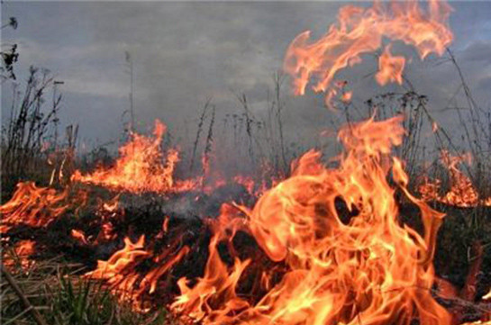Նուռնուս գյուղում այրվել է կուտակած անասնակեր