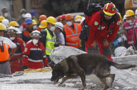 Մեքսիկայում երկրաշարժի հետևանքով զոհերի թիվը հասել է 293-ի